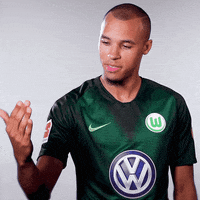 looking marcel tisserand GIF by VfL Wolfsburg