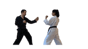 Throw Karate Sticker by studiolution