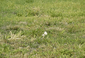 life love GIF by Jean Scuderi