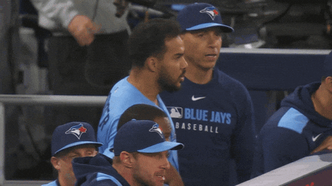 Blue Jays Baseball GIF by Toronto Blue Jays