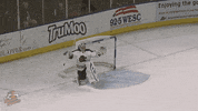 hockey celebrate GIF by Greenville Swamp Rabbits
