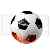 World Cup Football Sticker by Napoleon Products