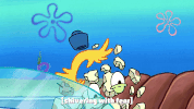 season 9 little yellow book GIF by SpongeBob SquarePants
