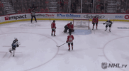 celebrate ice hockey GIF by NHL