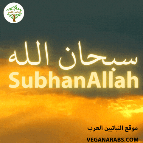 Allah GIF by VeganArabs