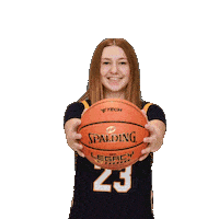 Womens Basketball Sticker by WVU Tech Golden Bears