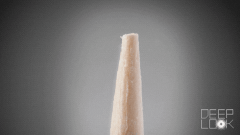 Fly Tick GIF by PBS Digital Studios