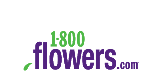 Tulips Sticker by 1800flowers