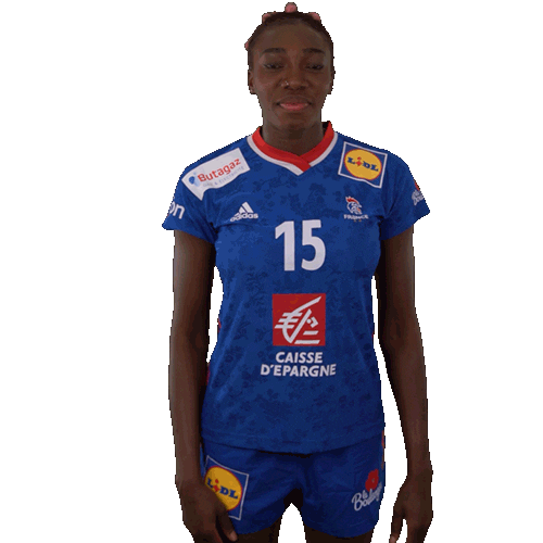 Ffhandball Sticker by Fédération Française de Handball