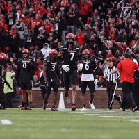 Celebrate University Of Cincinnati GIF by Cincinnati Bearcats