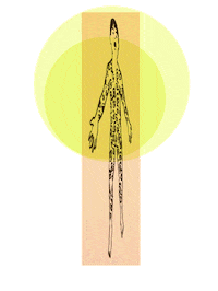 dash shaw animation GIF by weinventyou