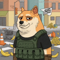 Lets Go Mood GIF by Doge Pound