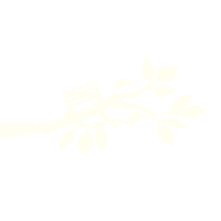 Apple Tree Cider Sticker by Cornish Orchards