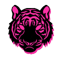 Year Of The Tiger Cats Sticker by Jack0_o