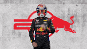 Ver Red Bull GIF by Oracle Red Bull Racing