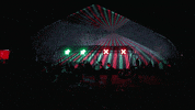 loop festival GIF by Pukkelpop