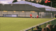Goal Jump GIF by Cliftonville Football Club
