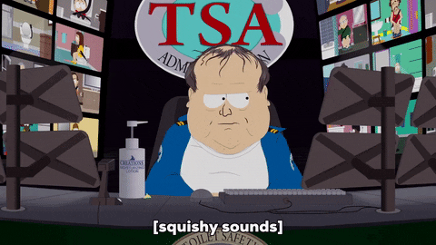 tsa watching GIF by South Park 