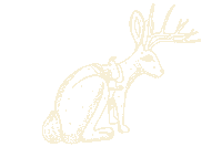 Jackalope Sticker by Travel South Dakota