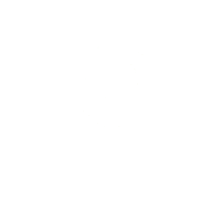 Thelionkings Sticker by Peugeot Ecuador