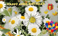 Happy Food GIF by The Seed of Life Foundation
