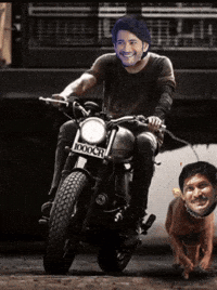 Mahesh Babu Ysrcp GIF