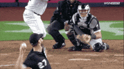 Jomboy  GIF