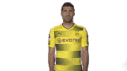 happy borussia dortmund Sticker by Bundesliga
