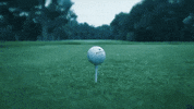 GIF by Wilson Golf