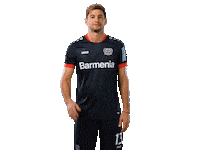 Bayer 04 Werkself Sticker by Bayer 04 Leverkusen