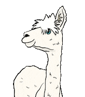 Llama Sticker by Your Alpaca Cottage
