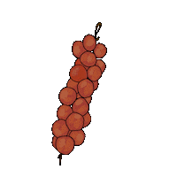 Tomato Mallorca Sticker