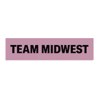 Midterms Sticker by Vote Save America
