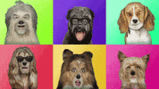 Cero Muyguau GIF by Movistar+