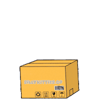 Cat Kitty Sticker by Silly Kitties