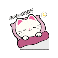 Good Night Sticker by Silly Kitties