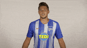 Hertha Berlin Football GIF by Hertha BSC