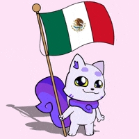 Mexico City GIF by Lucky Kat Studios