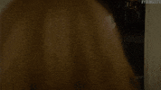tv land smile GIF by YoungerTV