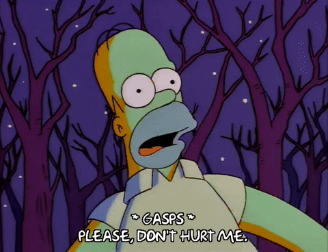 homer simpson episode 10 GIF