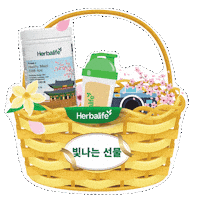 HerbalifeKorea spring gift shake basket Sticker
