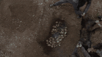 Fourth Of July Thanksgiving GIF by The Walking Dead