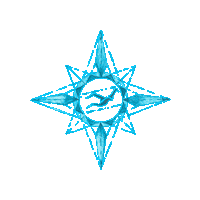 Beach Birds Sticker by Ave Marinha