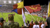 rslmarketing soccer mls major league soccer rsl GIF