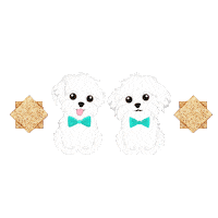 Happy Passover Sticker by HammyandBrody