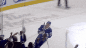 Celebration Hockey GIF by Toronto Marlies