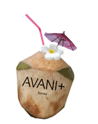 coconut water summer Sticker by avanisamui
