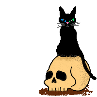 Vote Early Election 2020 Sticker by INTO ACTION