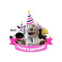 Dog Tyler Sticker by Beth School
