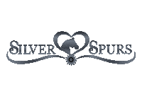 Stallions Reining Sticker by Silver Spurs Equine